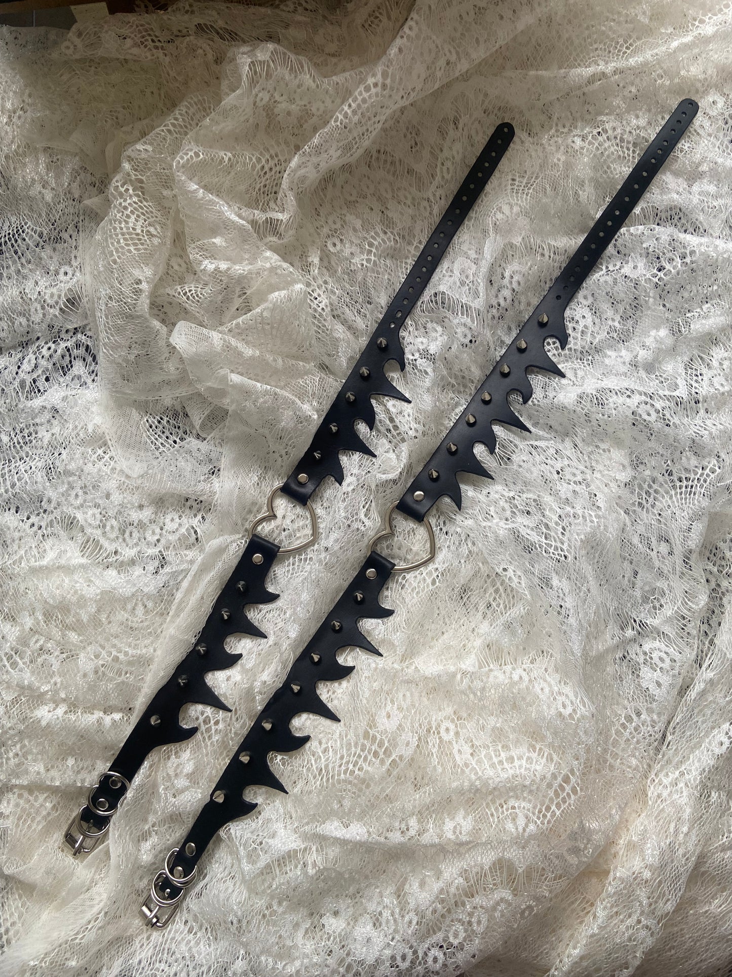 Bashful Garter