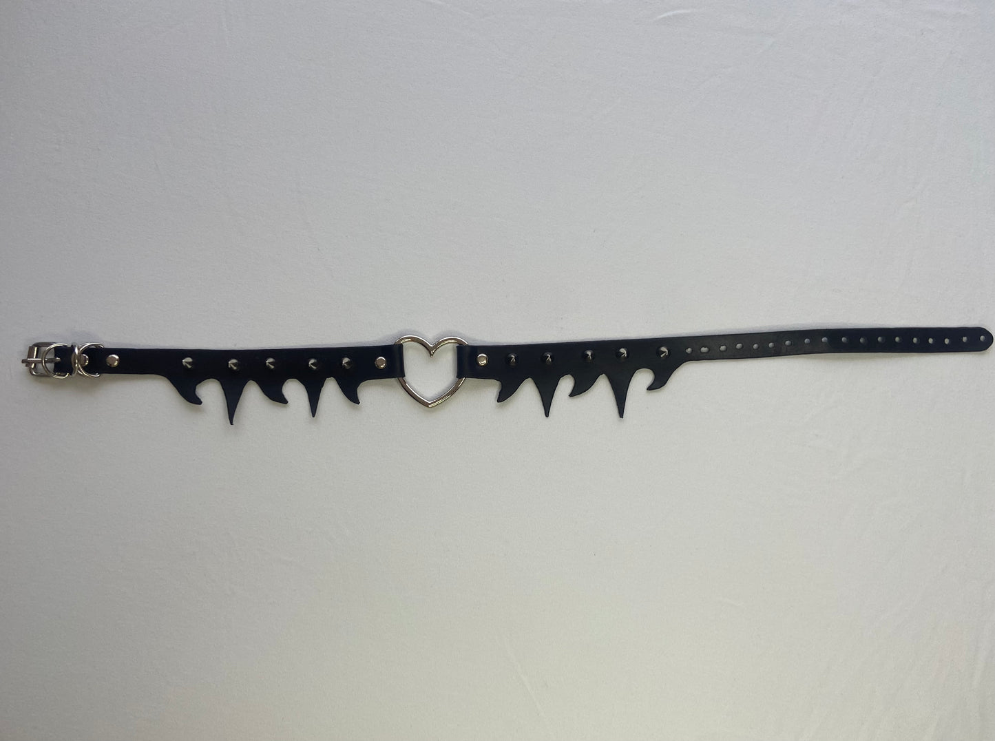 Bashful Garter
